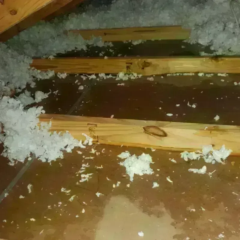 Attic Water Damage in Lake Mills, IA