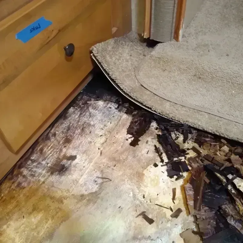 Best Wood Floor Water Damage Service in Lake Mills, IA